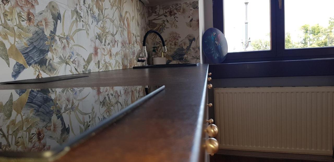 Astronomiczny Apartament , Mieszkanie 2 Pokojowe. Parking. Stary Toruń Exteriör bild
